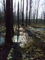IMG20200327163611.jpg