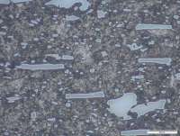 1000X-D2.webp