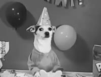 174849658366244415.mp4