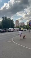 174870858724188249.mp4