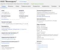 Screenshot2025-06-01at15-28-08ОООФинмодельМоскваИНН7728352723адресофициальныйсайтителефон.png
