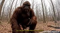 Born to be Bushy.mp4