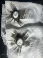 IMG5753.jpeg