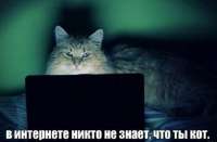 тыкот.jpg