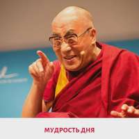 мудрость дня.webp
