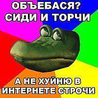 mji9avkbg7ev.jpg