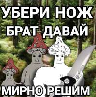 17445672734230.jpg