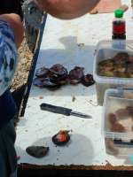 IMG20250622115358.jpg
