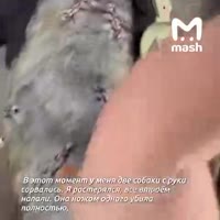 1752597432096413.mp4