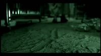 MM.mp4