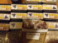 IMG20230227210751.jpg