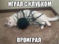 cat thread ball 987dex.jpg