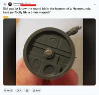 545544534.jpg