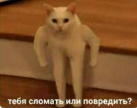 7WYQXUBpp8.jpg