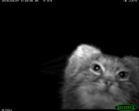 IMG20250317043829394.jpg