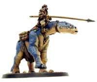 TallarnRider.jpg
