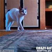 1665658083977.gif