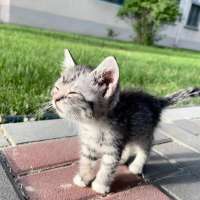 FnNtO1MEP6vwgAuszGopCfCiSK32NL1Lh7Au0jHJTozxo2OXLFL3Ww4M2y9mYRvFvDqHt89ITM8atASQUh1vUh.jpg