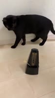 1620375118350.mp4