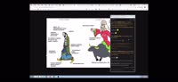 1686991536764.mp4