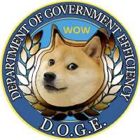 17390664535960.png