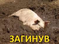 1721165408363.png