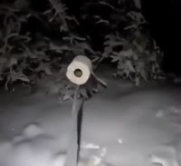 17525723015330.mp4