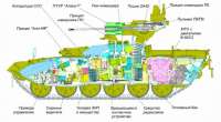 bmpt-terminator-v-razreze.jpg