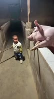 17366950816910.mp4