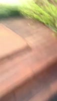 15965571920190.mp4