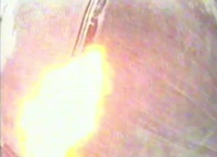 VID20250711011249421.mp4