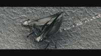 the-robot-nanobots-the-day-the-earth-stood-still-v0-chmuiaqejhmd1.webp