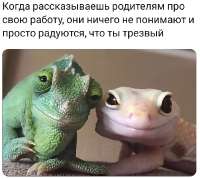 44844455958548748.PNG