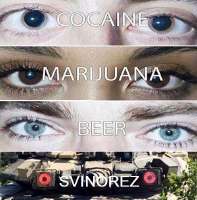 17520625448660.jpg