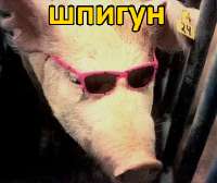 17465475708490.jpg