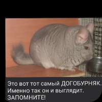 17508596871820.webp