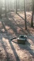 video2025-08-0311-26-54.mp4