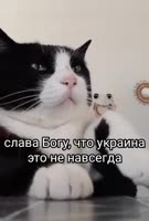 17552849161350.mp4