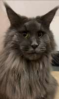 IMG-20250818-WA0023.jpg