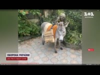 17542032956800.mp4