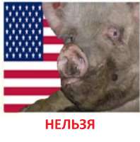 17238906290670.png