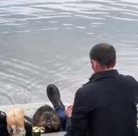 VID20250813195019599.mp4