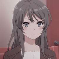 1746645715748.jpeg