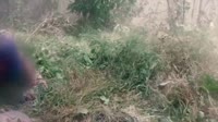 терпы.mp4