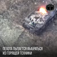 КоробочкаВЗасадеКурскаяОБЛ.MP4