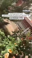video2025-08-2509-11-34.mp4