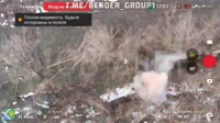 175610193184465703.mp4