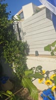 17456112114400.mp4