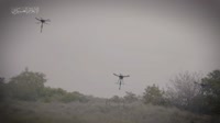 7725313659573090.mp4