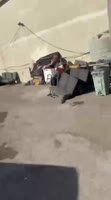 VID20250703193954496.mp4